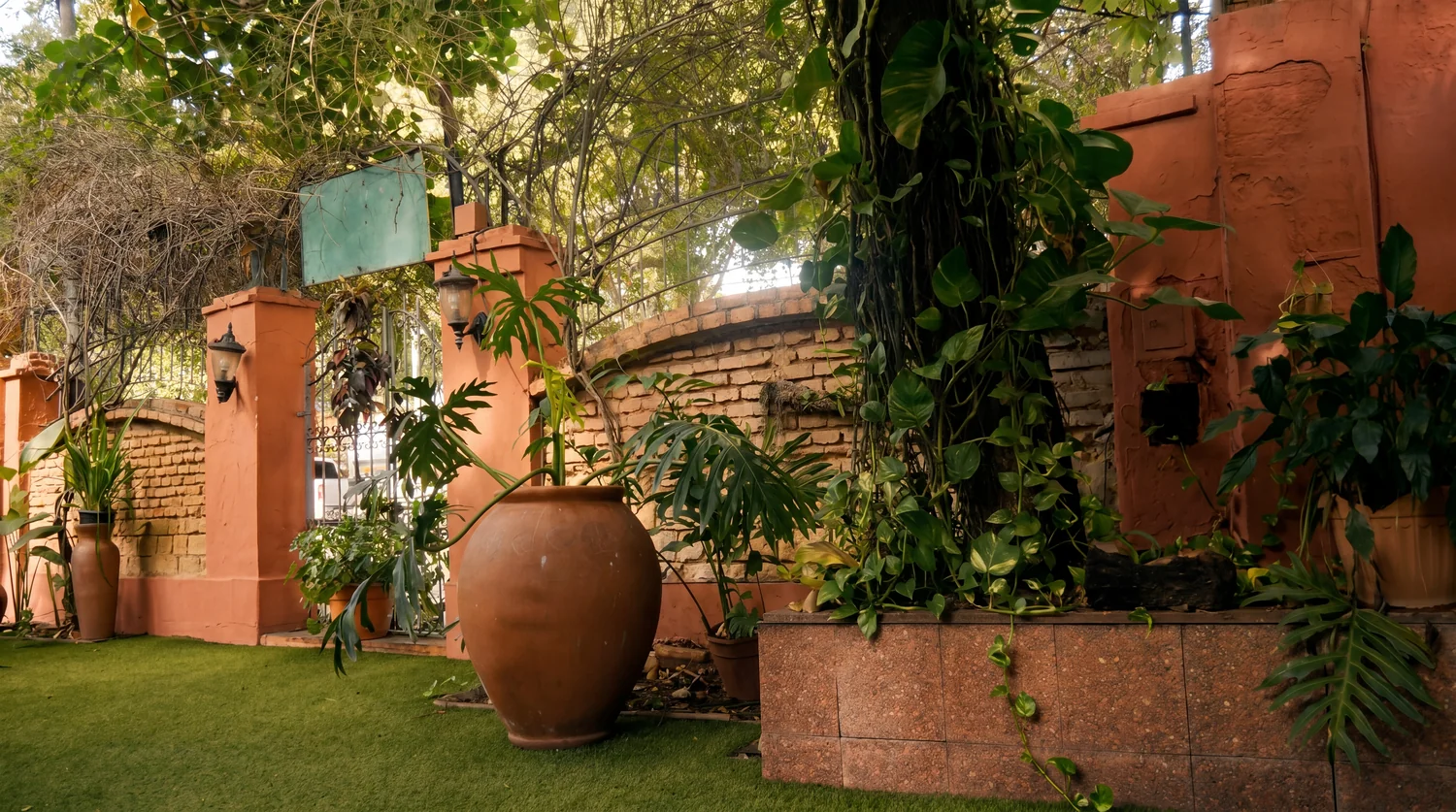 Patio de entrada con jarrones de barro y vegetación