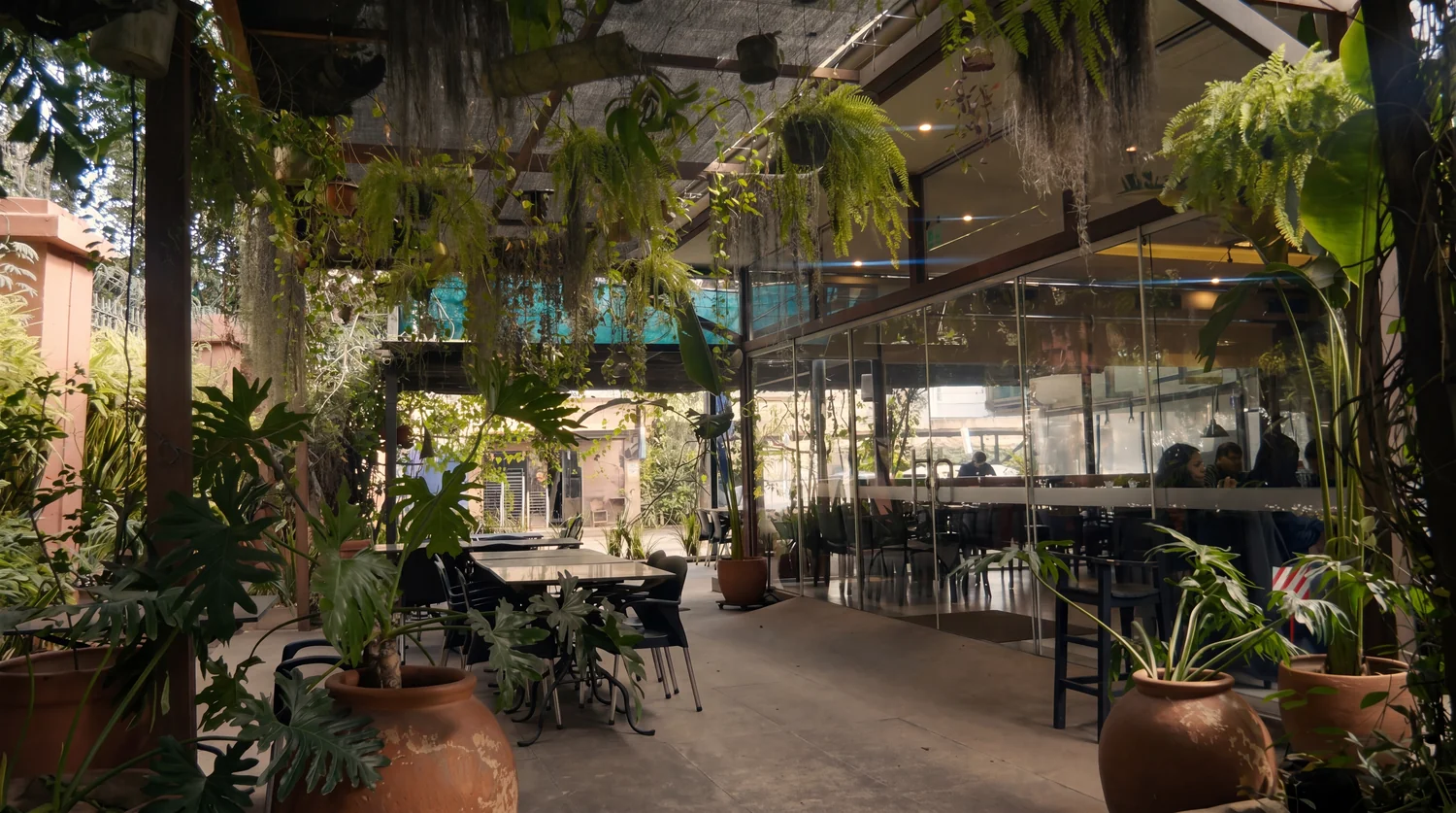 Salón jardín del Bar San Miguel con techo de vidrio y vegetación