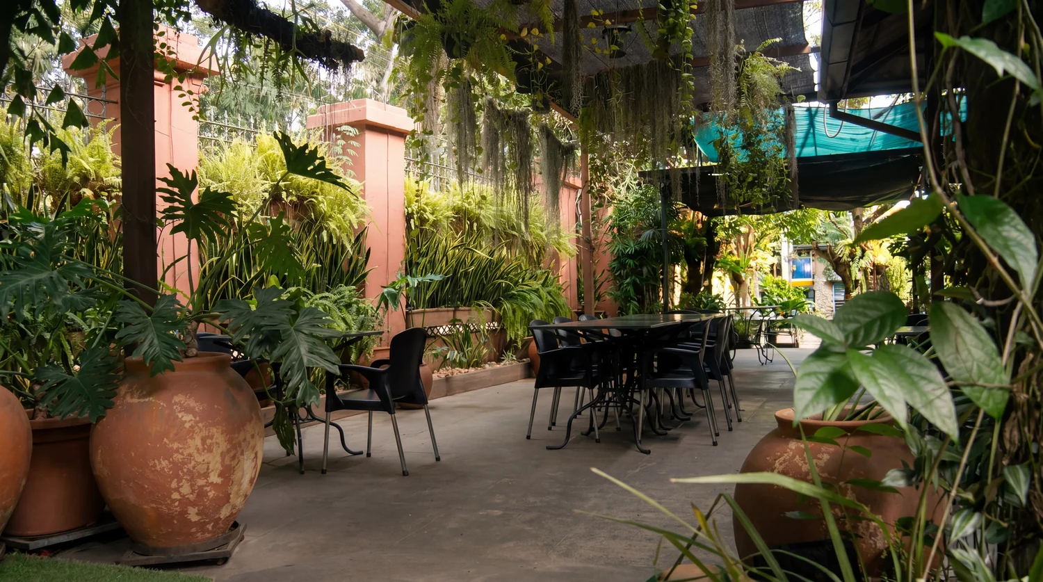 Terraza del Bar San Miguel con jarrones y plantas